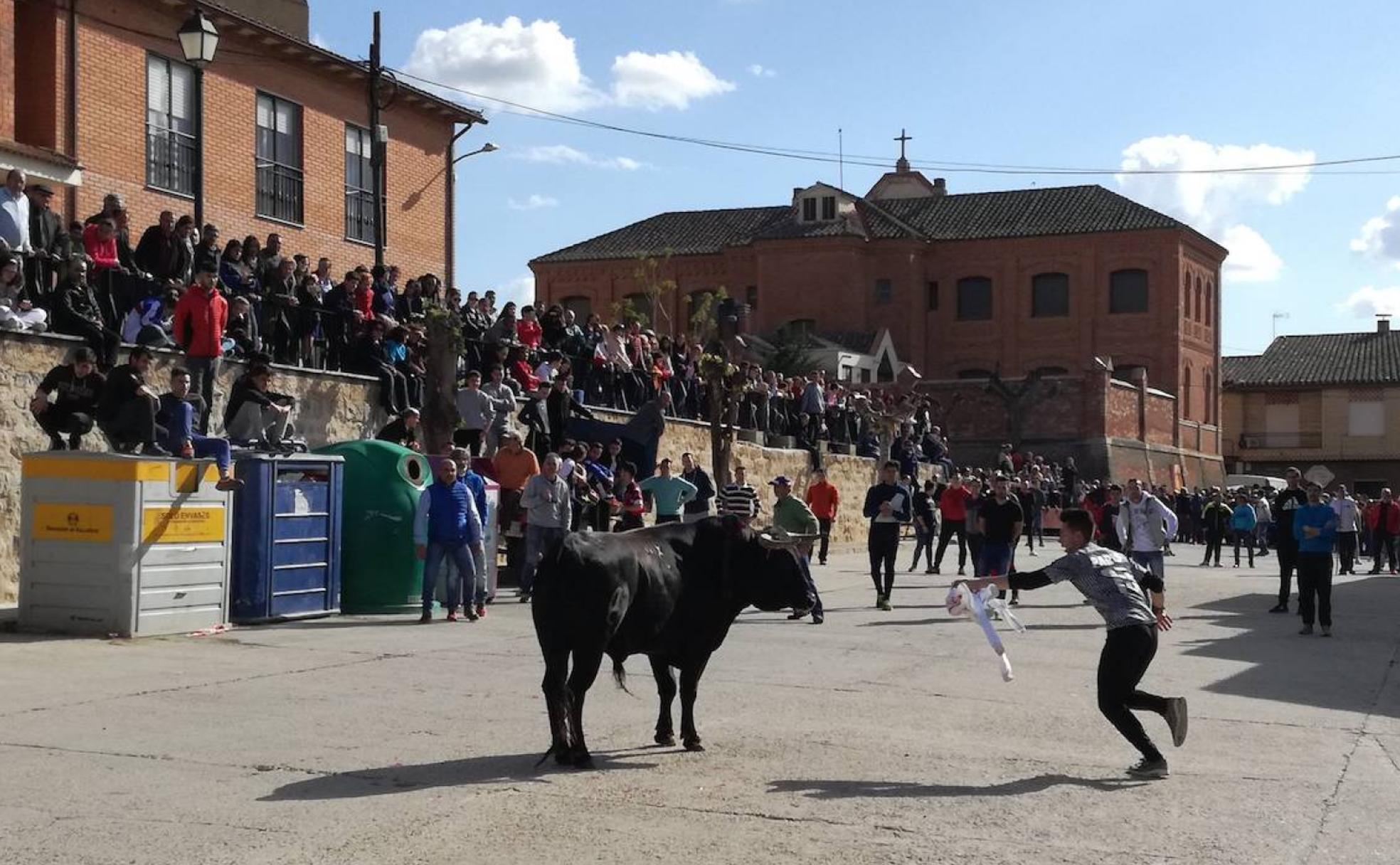 Encierros por las calles de San Román de Hornija.