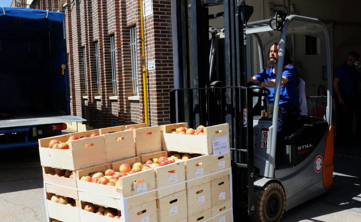 Distribución de fruta de las cooperativas en el Banco de Alimentos. 