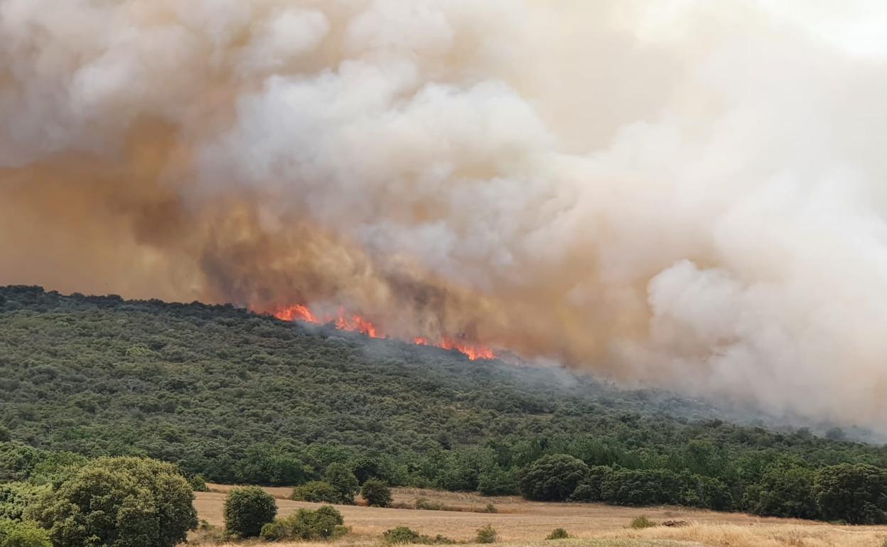 Imagen de archivo de un incendio en la zona de Losa en julio de 2020. 