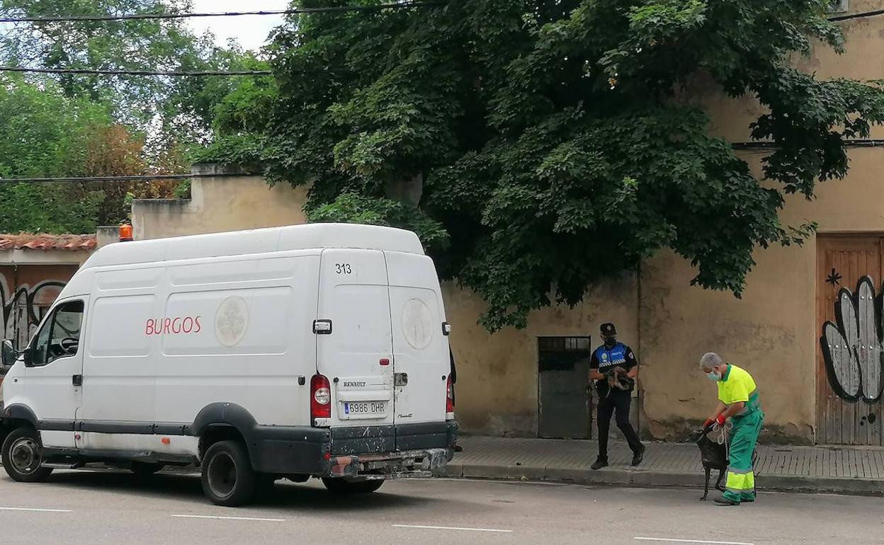 El fuego permitió descubrir una docena de perros en el interior de la nave abandonada.