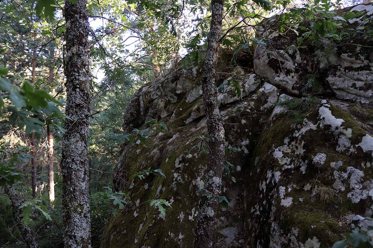 Fotos: Protección para el vestigio de la vida solitaria de Quintanar de la Sierra