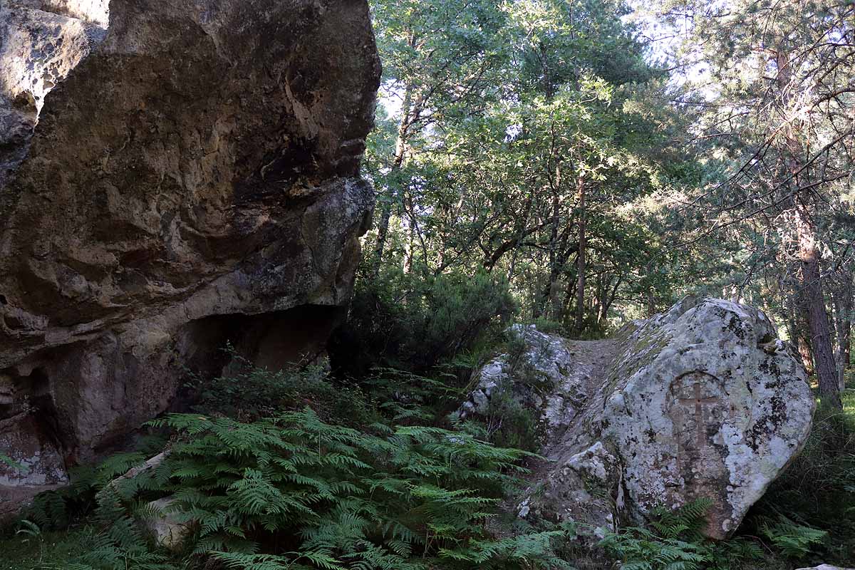 Fotos: Protección para el vestigio de la vida solitaria de Quintanar de la Sierra