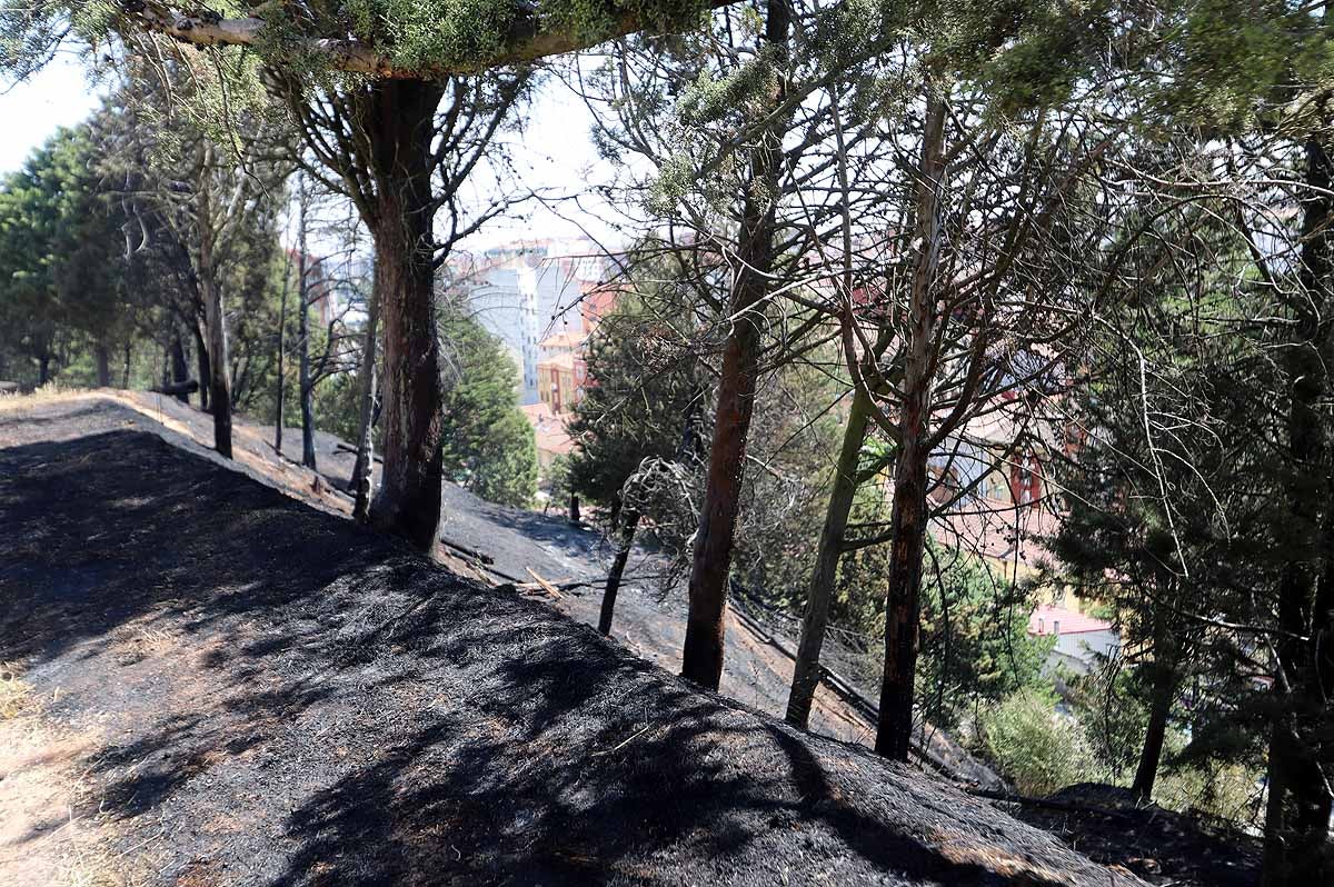 Fotos: Las consecuencias del fuego en el entorno del Castillo de Burgos