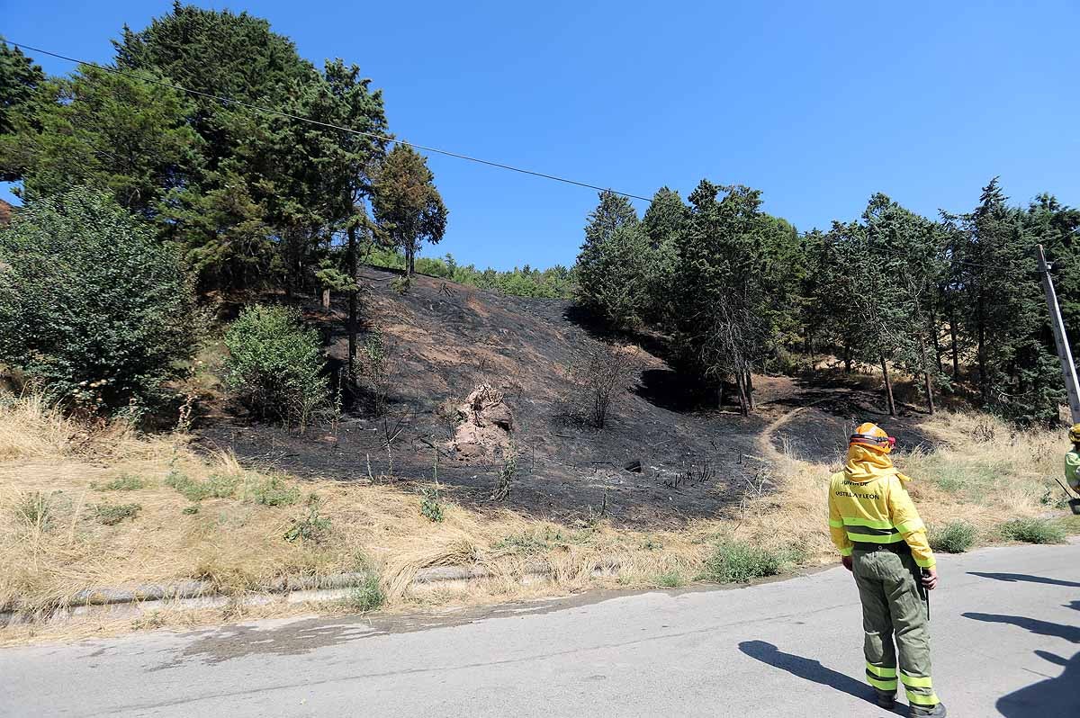 Fotos: Las consecuencias del fuego en el entorno del Castillo de Burgos