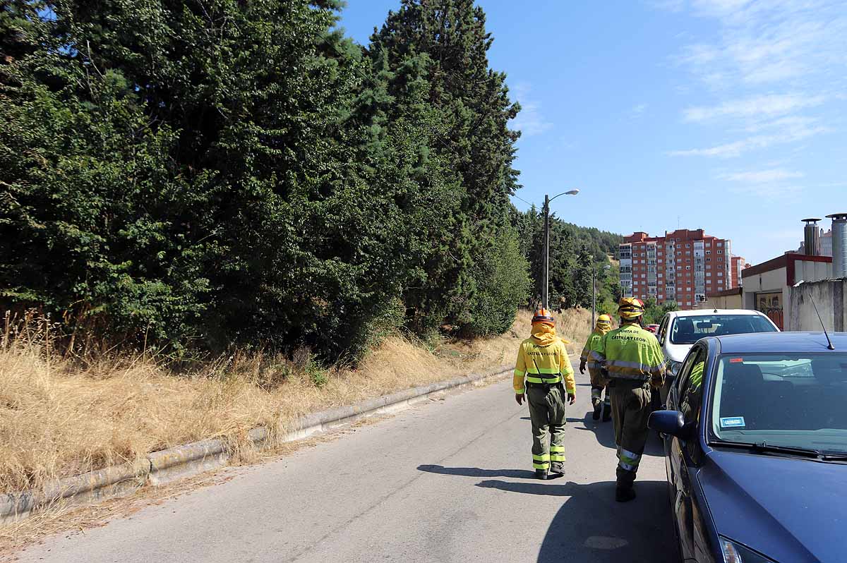 Fotos: Las consecuencias del fuego en el entorno del Castillo de Burgos