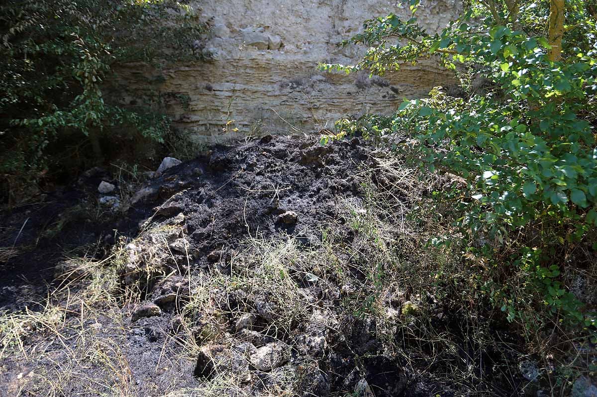 Fotos: Las consecuencias del fuego en el entorno del Castillo de Burgos