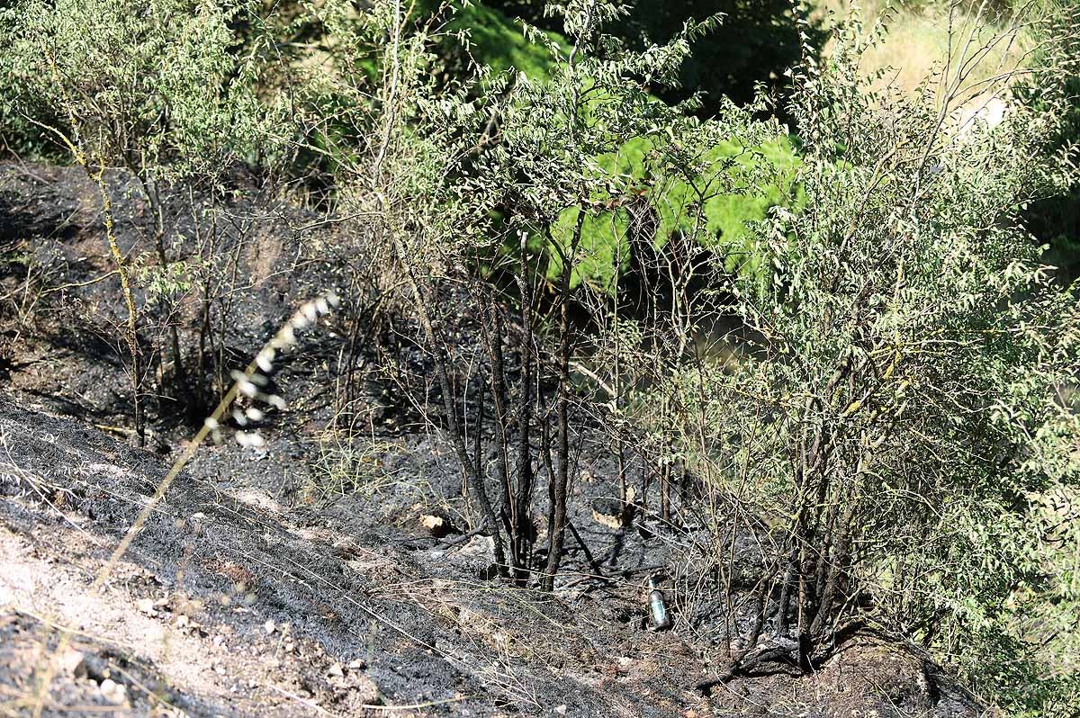 Fotos: Las consecuencias del fuego en el entorno del Castillo de Burgos