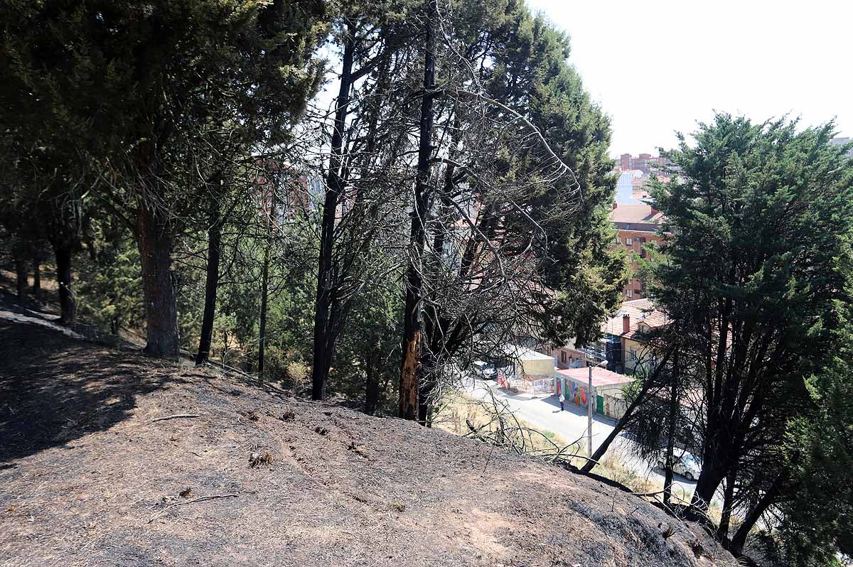 Fotos: Las consecuencias del fuego en el entorno del Castillo de Burgos