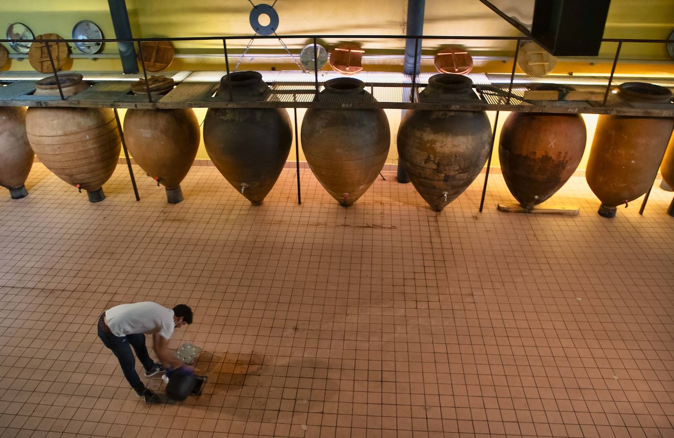 Imagen principal - DO Ribera del Duero: Pradorey investiga los posibles beneficios de los vinos con alta composición fenólica para la salud cardiovascular