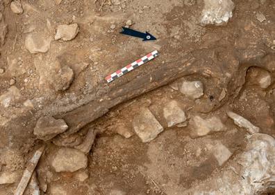 Imagen secundaria 1 - Arriba, Yacimiento de la Cova Gran, tomado con dron (Laboratorio de Cartografía Digital y Análisis 3D, CENIEH); abajo, restos de Linya, recuperados en el sondeo V de la Cova Gran, 
