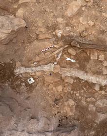Imagen secundaria 2 - Arriba, Yacimiento de la Cova Gran, tomado con dron (Laboratorio de Cartografía Digital y Análisis 3D, CENIEH); abajo, restos de Linya, recuperados en el sondeo V de la Cova Gran, 