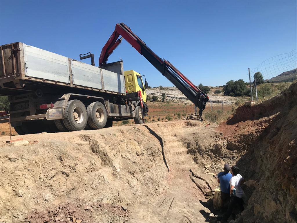 Fotos: Finaliza la V campaña paleontológica en Torrelara con el hallazgo de restos anatómicos únicos hasta ahora