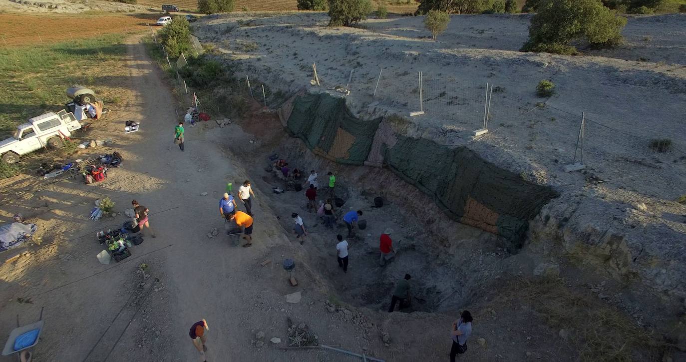 Fotos: Finaliza la V campaña paleontológica en Torrelara con el hallazgo de restos anatómicos únicos hasta ahora