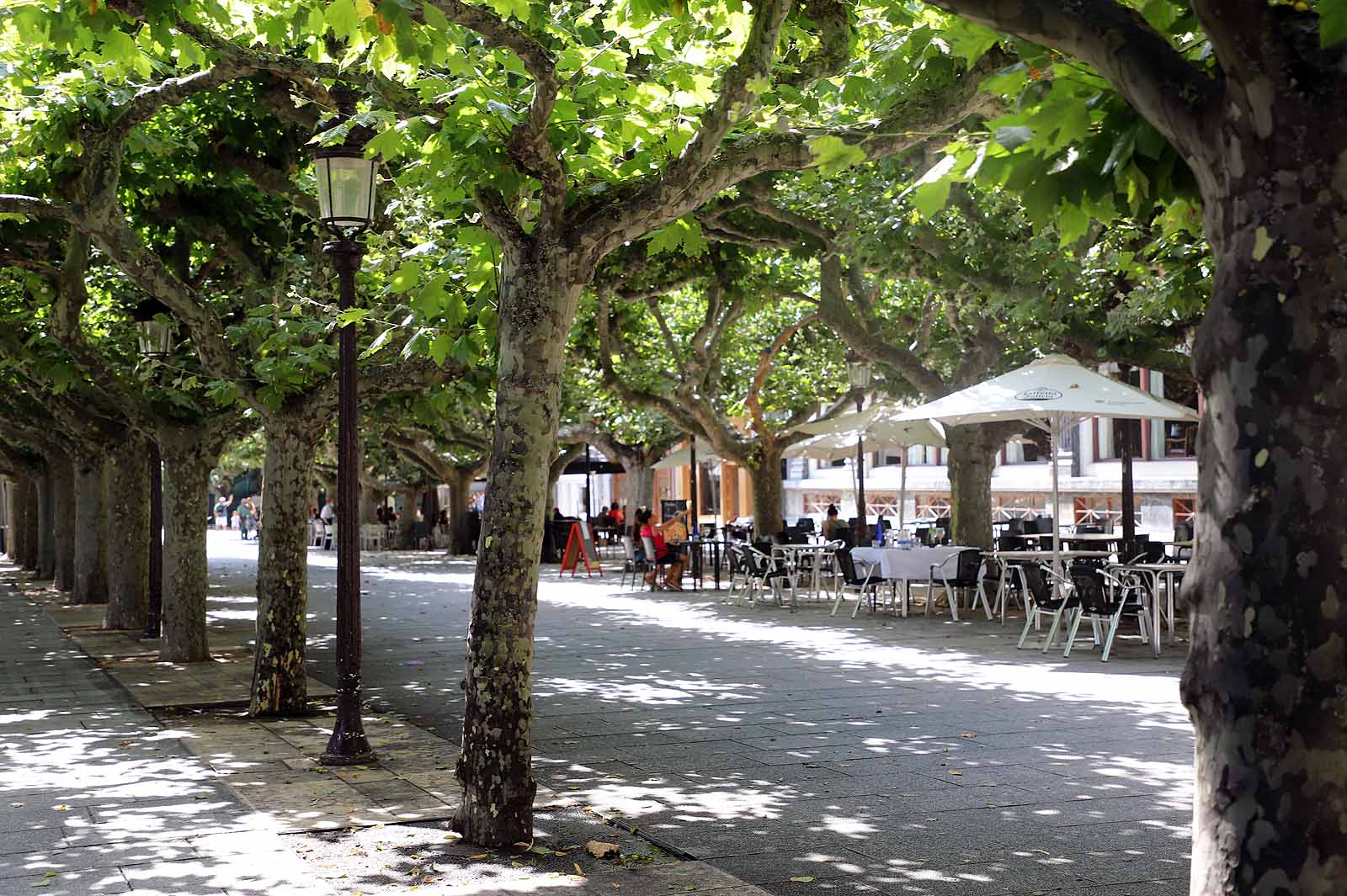 Los termómetros de la capital han alcanzado los 35,4º C durante la tarde del miércoles.