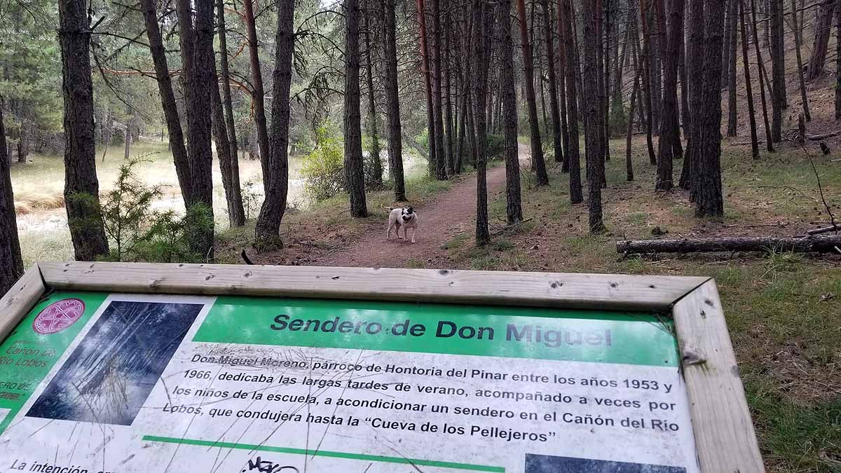 Fotos: Recorrer las esculturas naturales que el río Lobos ha esculpido