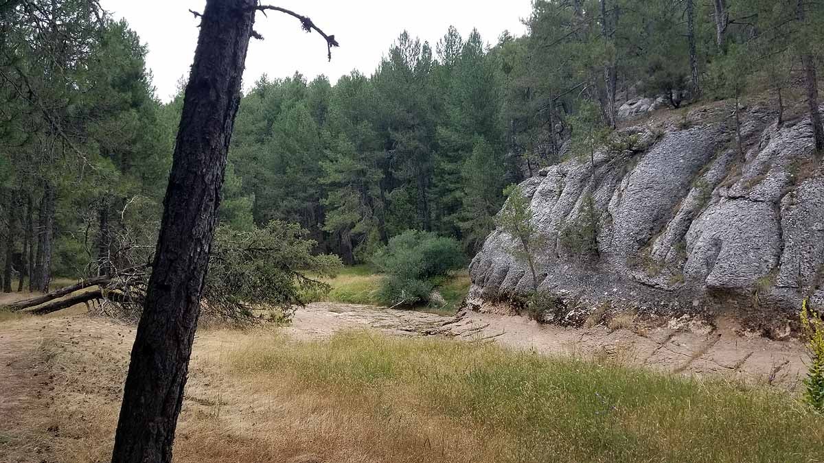 Fotos: Recorrer las esculturas naturales que el río Lobos ha esculpido