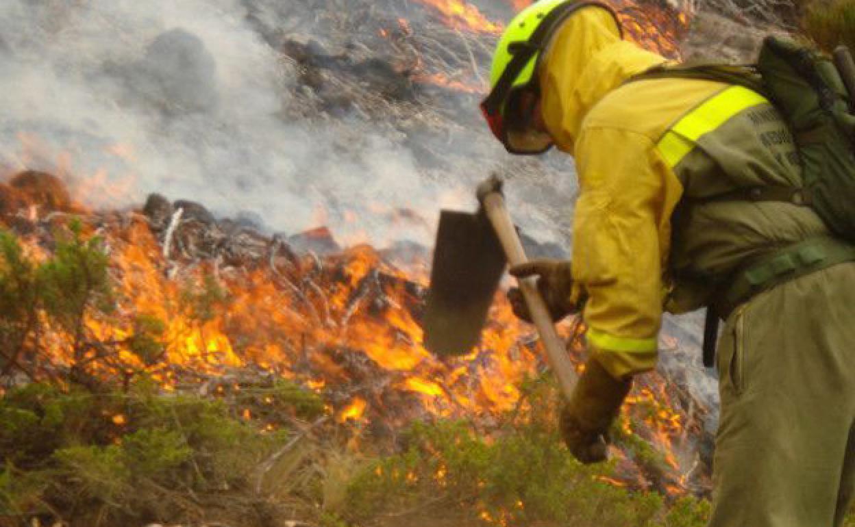 Las BRIF son uno de los cuerpos fundamentales en la extinción de incendios. 