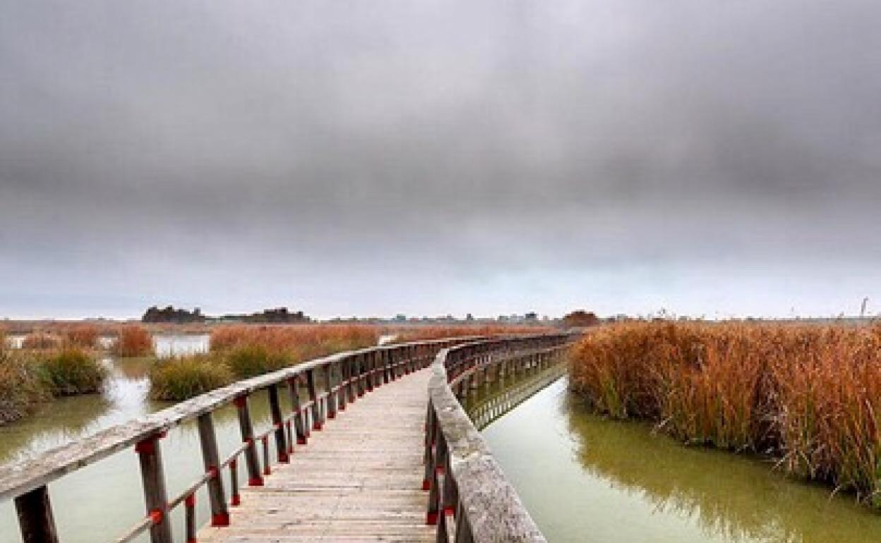 Las Tablas de Daimiel 