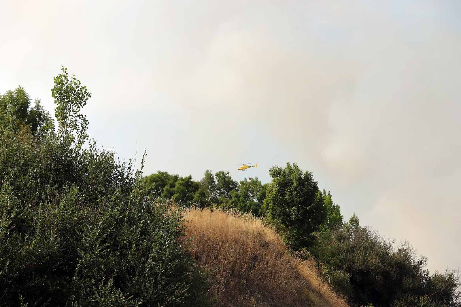 Un gran operativo trabaja desde primera hora de la tarde en incendio declarado en Masa.