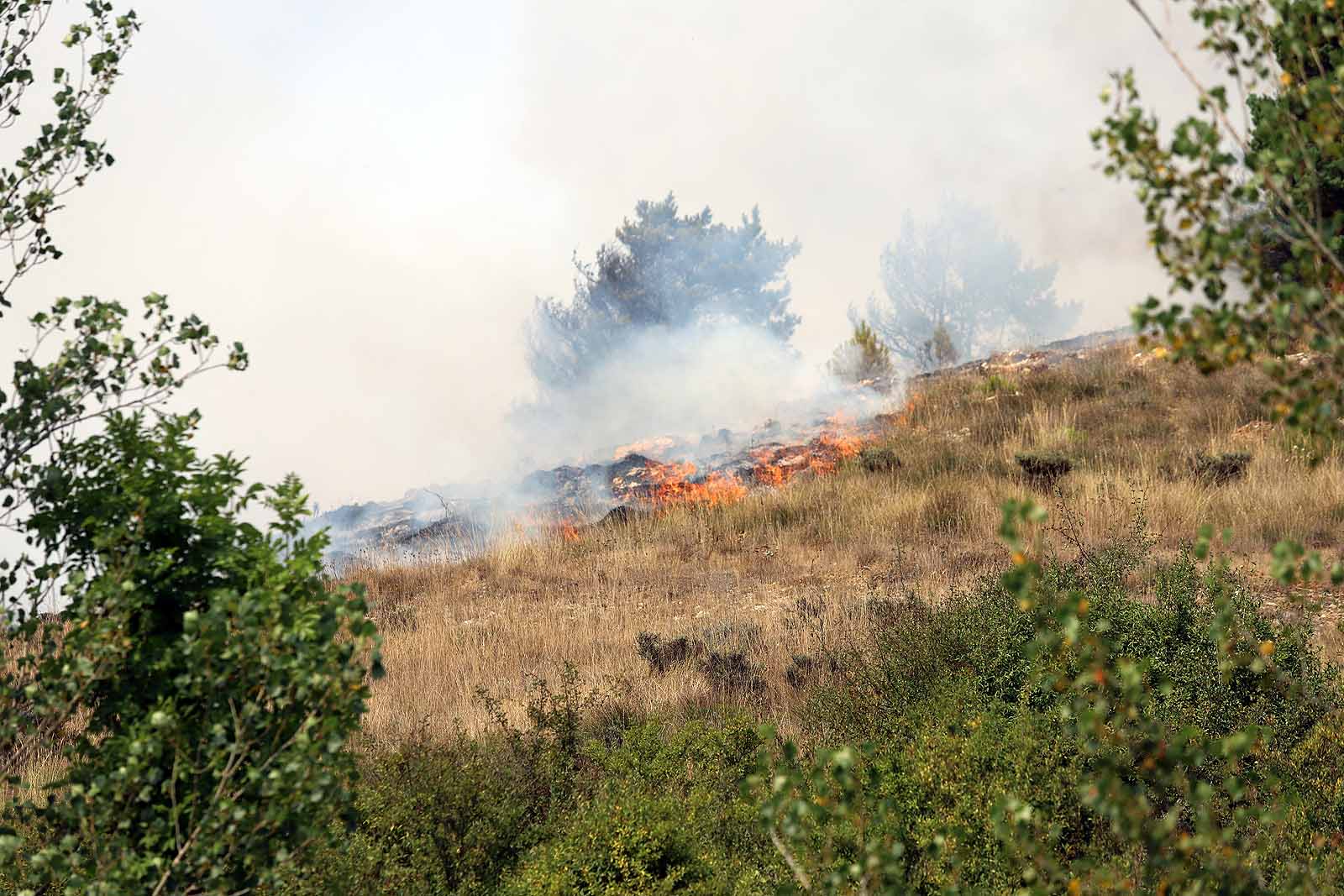 Un gran operativo trabaja desde primera hora de la tarde en incendio declarado en Masa.