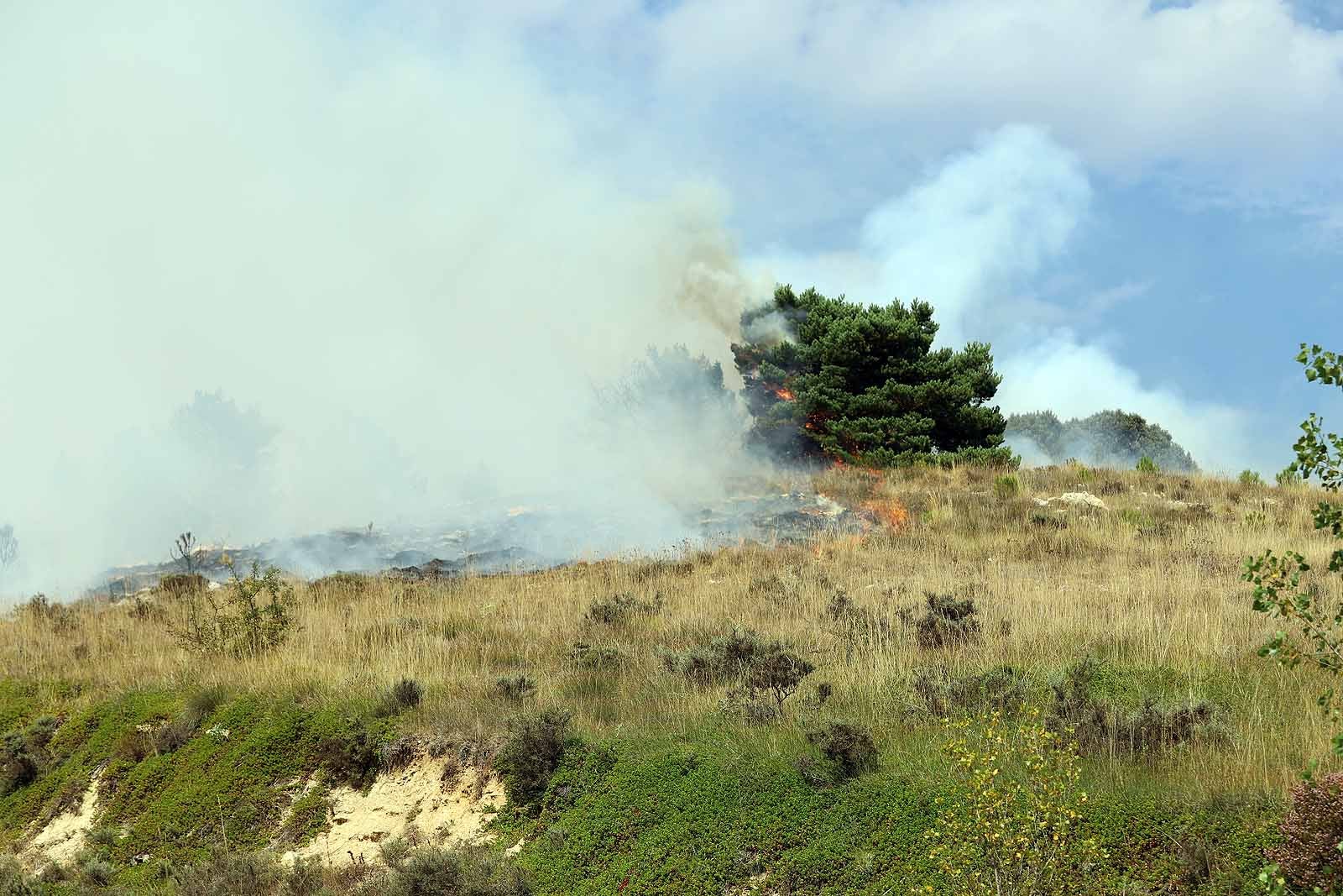 Un gran operativo trabaja desde primera hora de la tarde en incendio declarado en Masa.