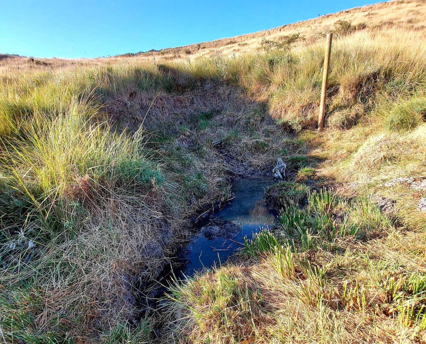 Fotos: Palazuelos de Muñó recupera sus fuentes naturales y pozos tradicionales