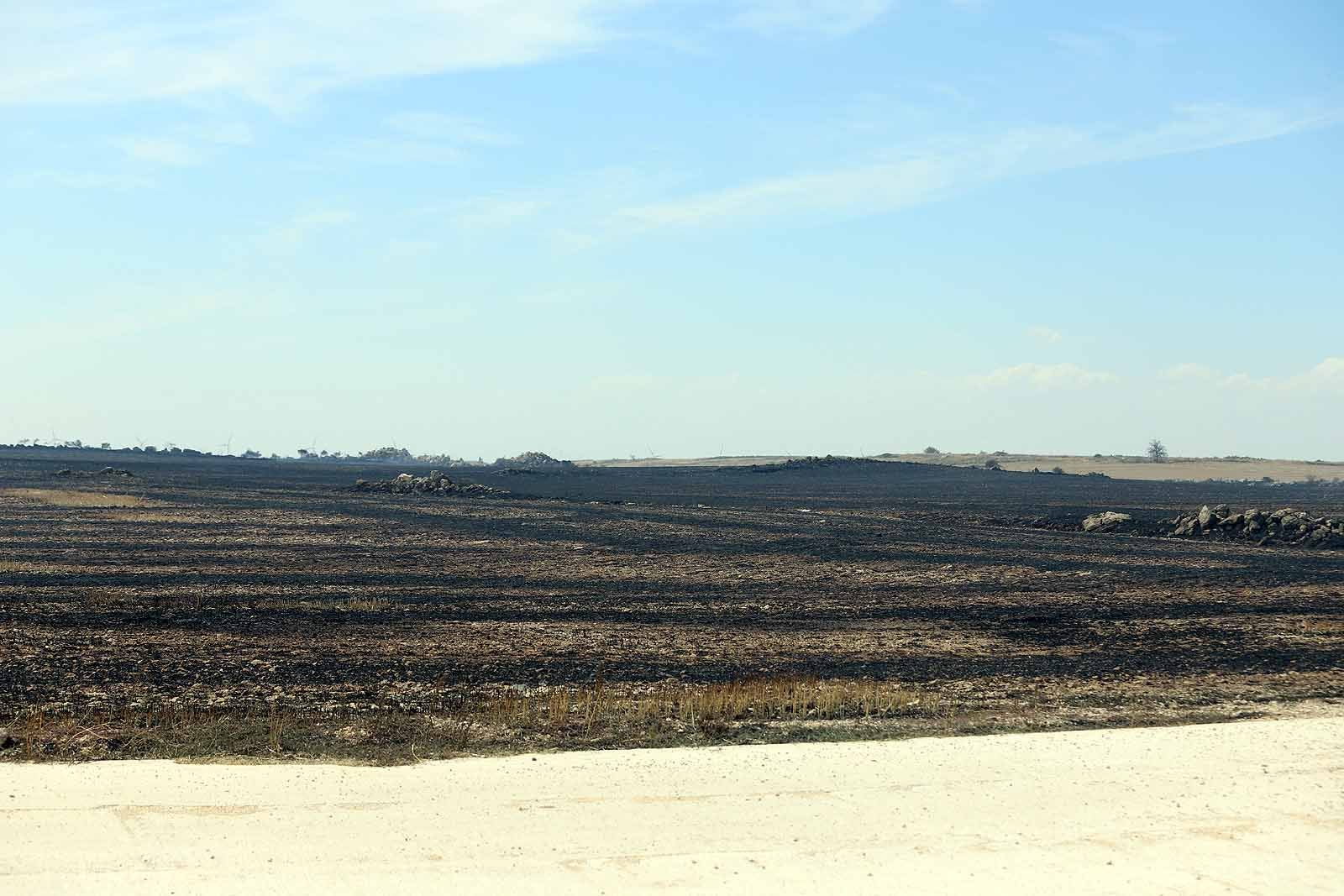 Fotos: Incendio en el parque eólico de Valle de Santibáñez