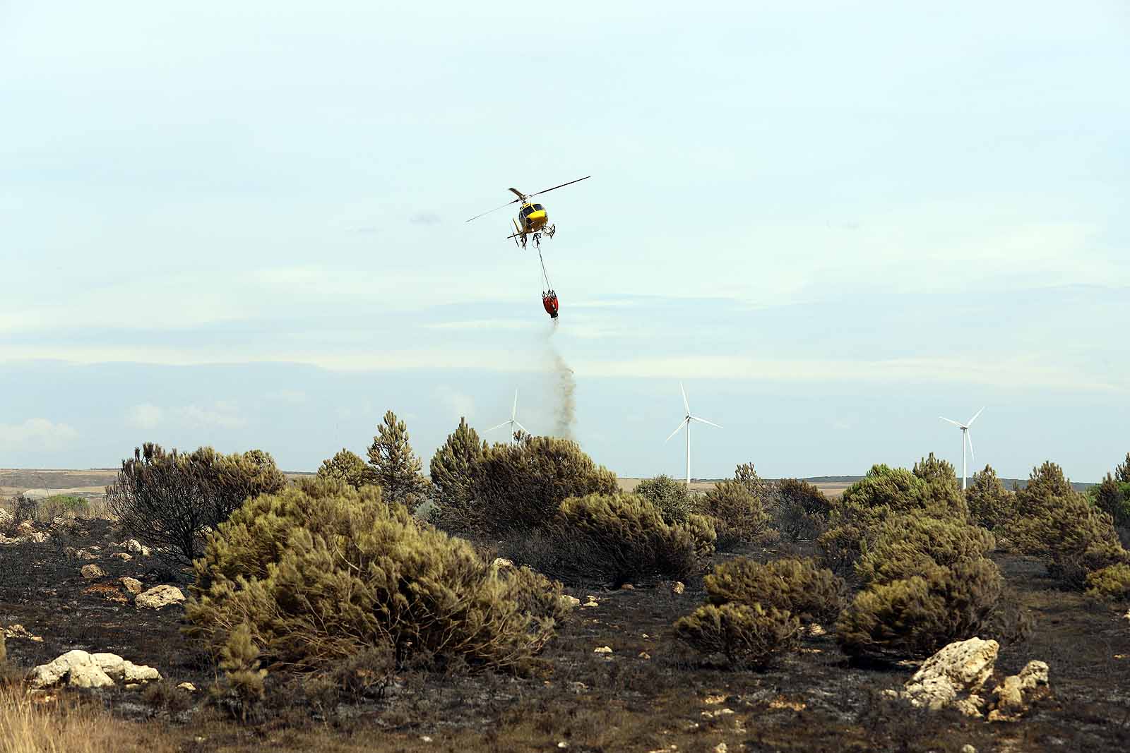 Fotos: Incendio en el parque eólico de Valle de Santibáñez