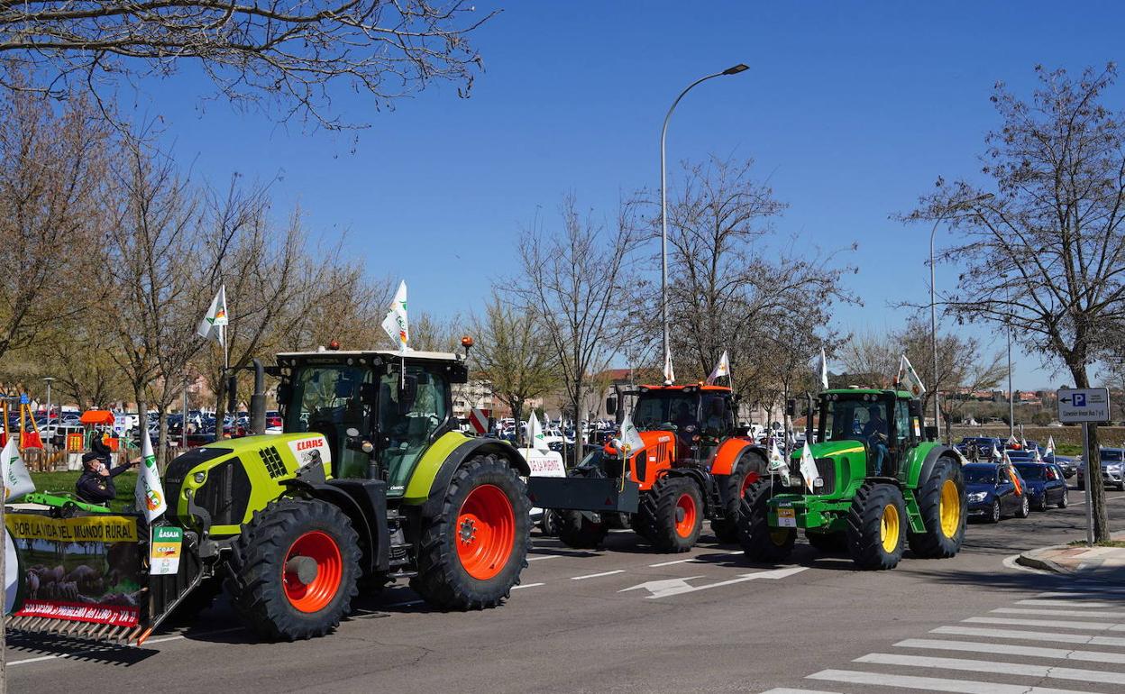 Últimas movilizaciones del sector agrario en Salamanca. 