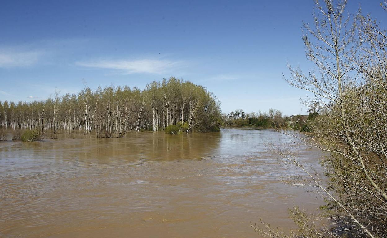 Chopera tras la crecida de un río. 