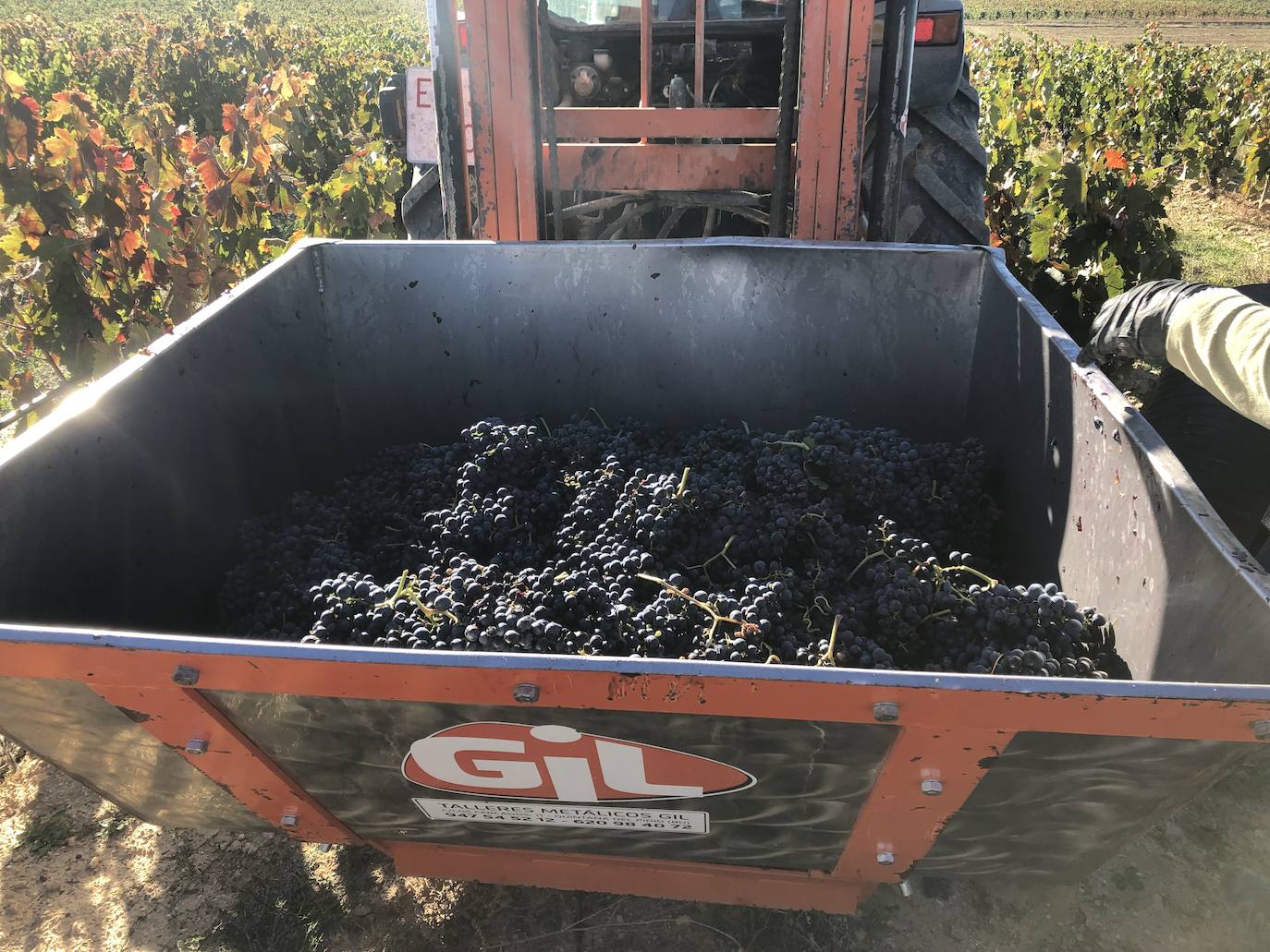 La Ribera del Duero se prepara para la campaña.