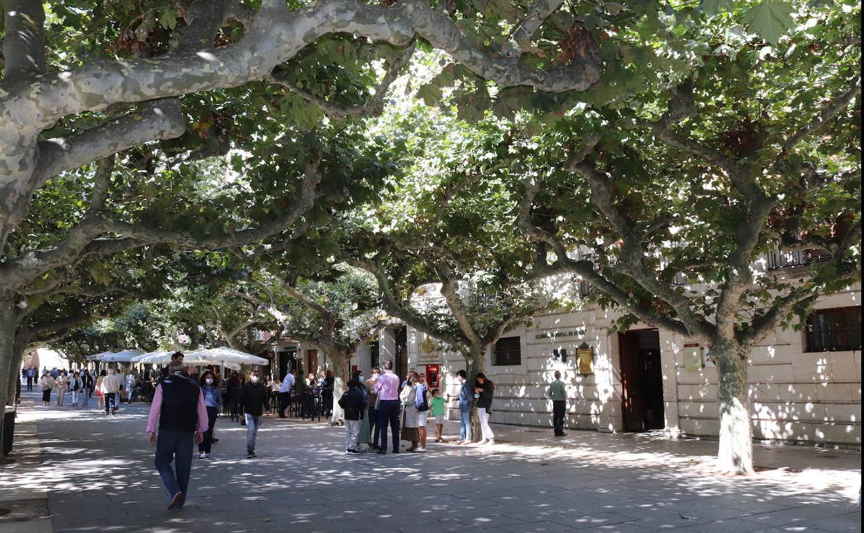 La pandemia está controlada en la ciudad, que presenta una baja incidencia.
