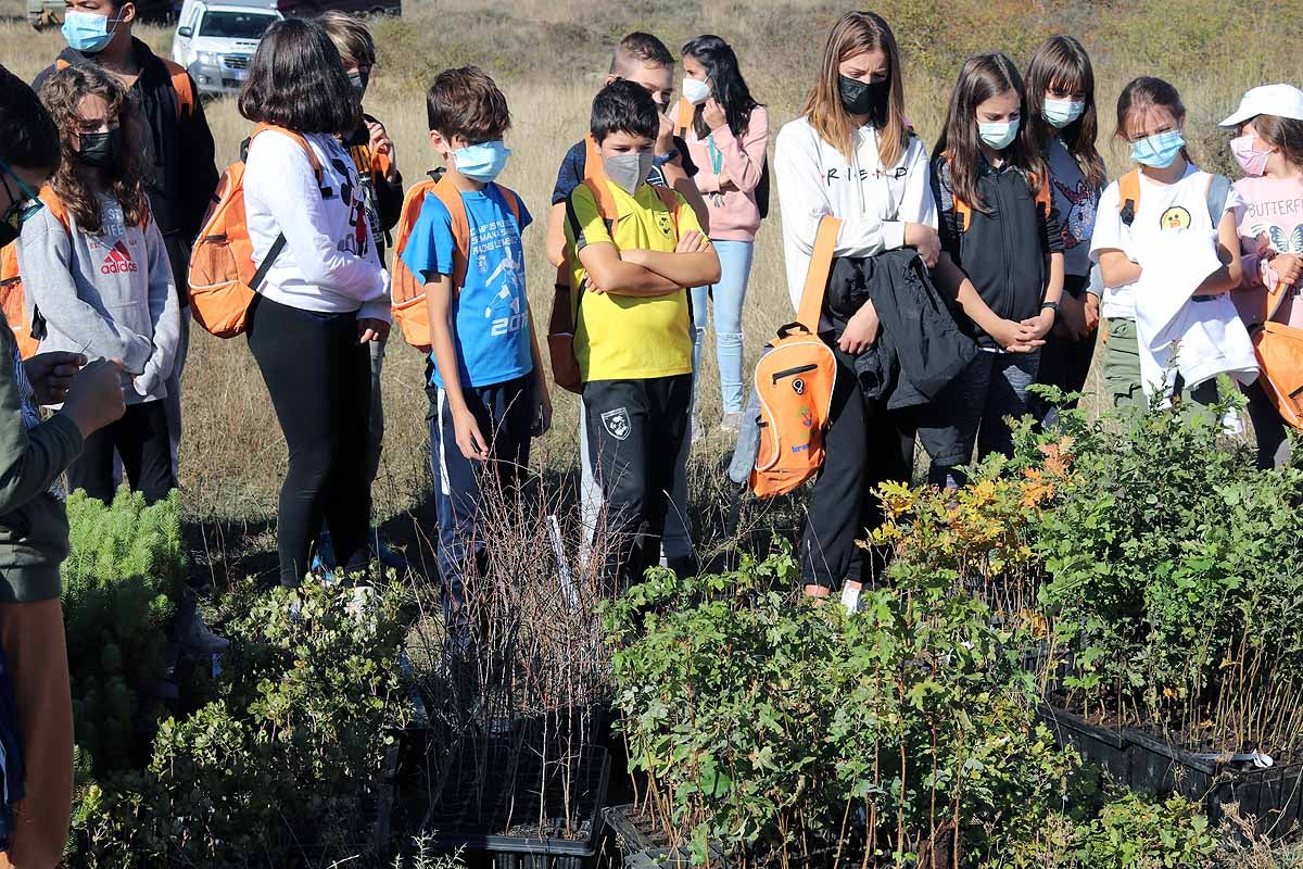 Fotos: Los niños burgaleses aprenden a respetar a unos vecinos fundamentales, los árboles