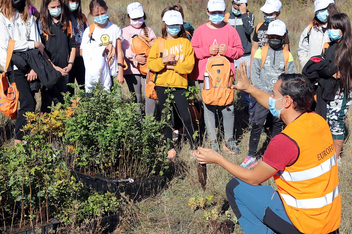 Fotos: Los niños burgaleses aprenden a respetar a unos vecinos fundamentales, los árboles