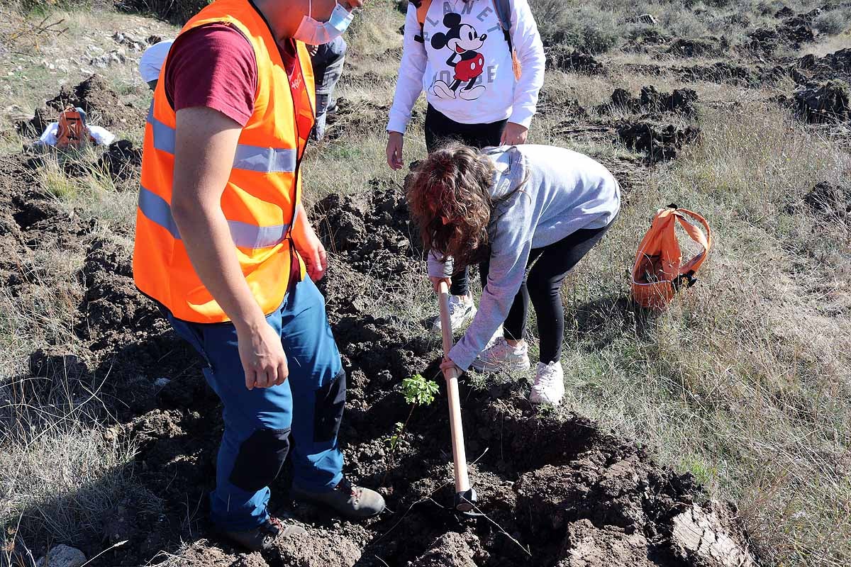 Fotos: Los niños burgaleses aprenden a respetar a unos vecinos fundamentales, los árboles