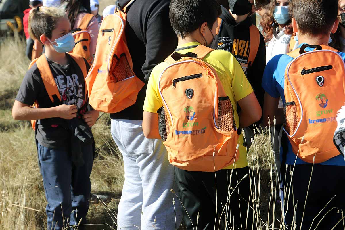 Fotos: Los niños burgaleses aprenden a respetar a unos vecinos fundamentales, los árboles