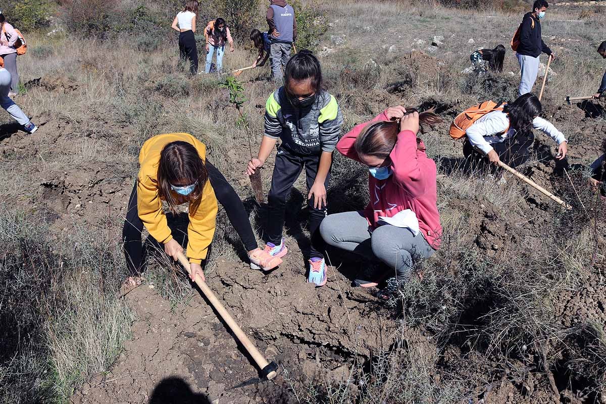 Fotos: Los niños burgaleses aprenden a respetar a unos vecinos fundamentales, los árboles