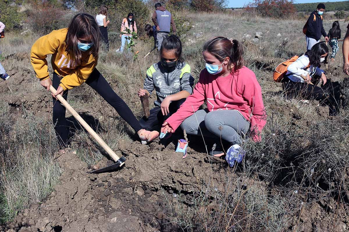 Fotos: Los niños burgaleses aprenden a respetar a unos vecinos fundamentales, los árboles