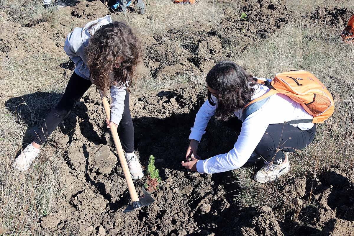 Fotos: Los niños burgaleses aprenden a respetar a unos vecinos fundamentales, los árboles