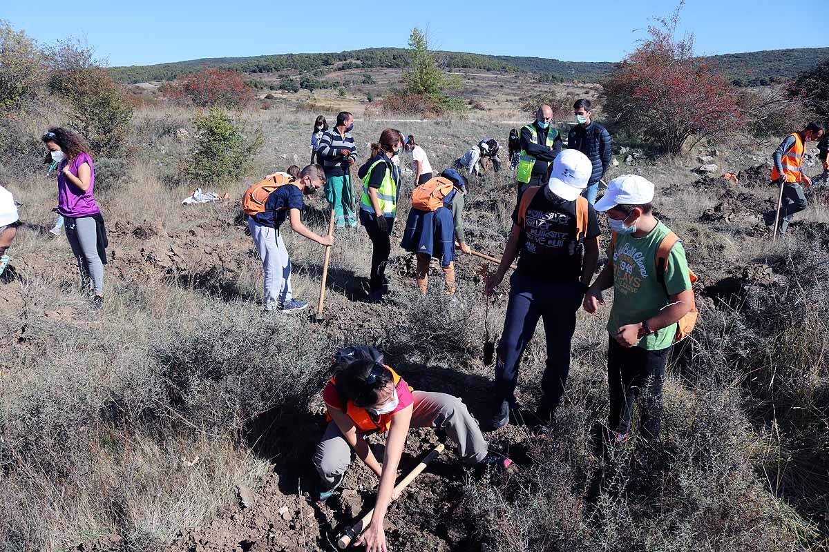 Fotos: Los niños burgaleses aprenden a respetar a unos vecinos fundamentales, los árboles