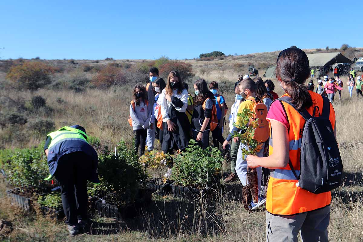 Fotos: Los niños burgaleses aprenden a respetar a unos vecinos fundamentales, los árboles