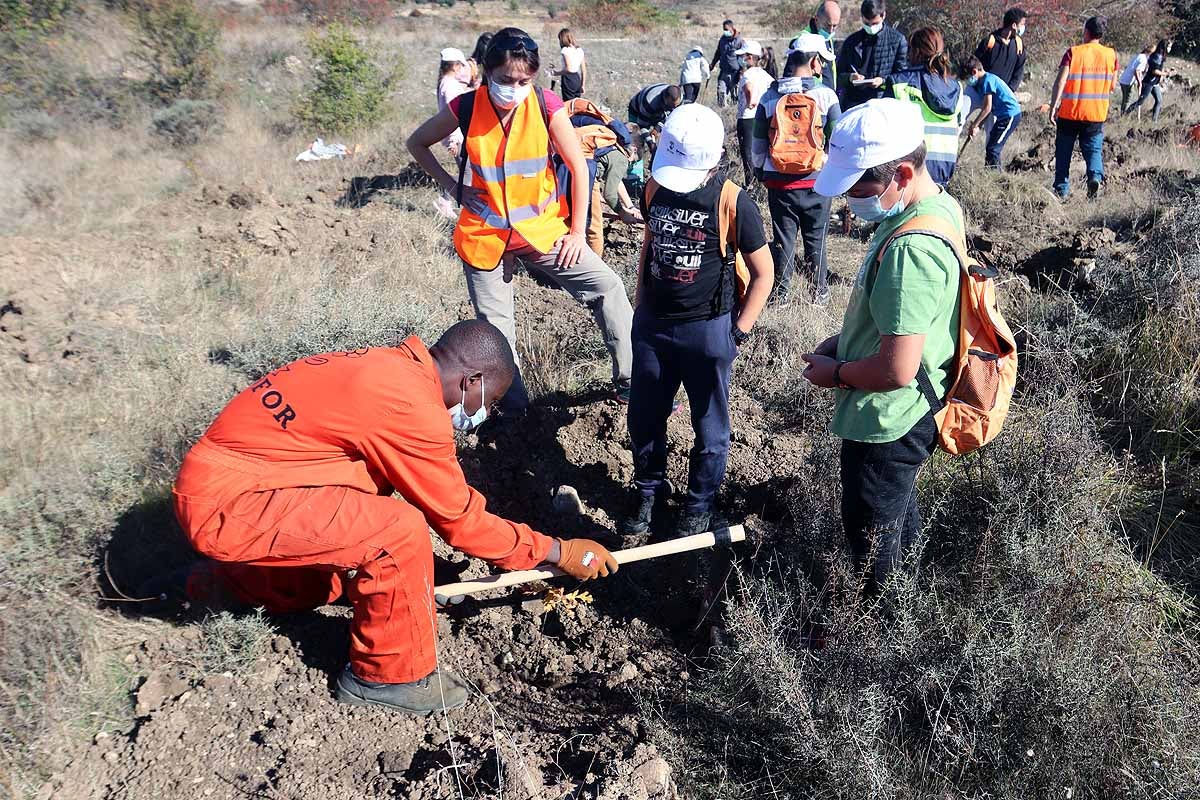 Fotos: Los niños burgaleses aprenden a respetar a unos vecinos fundamentales, los árboles