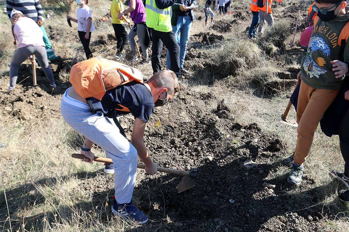 Fotos: Los niños burgaleses aprenden a respetar a unos vecinos fundamentales, los árboles