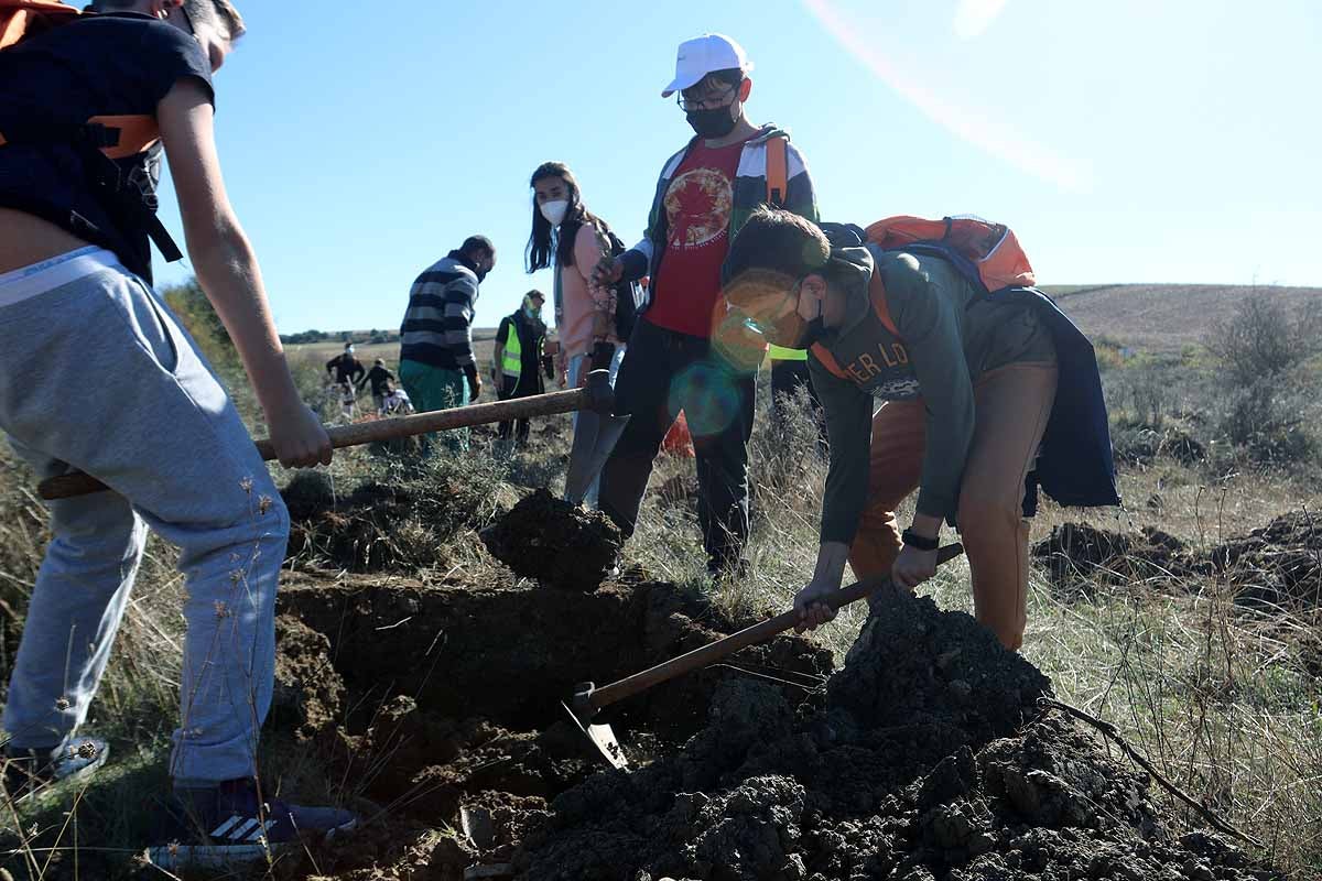 Fotos: Los niños burgaleses aprenden a respetar a unos vecinos fundamentales, los árboles