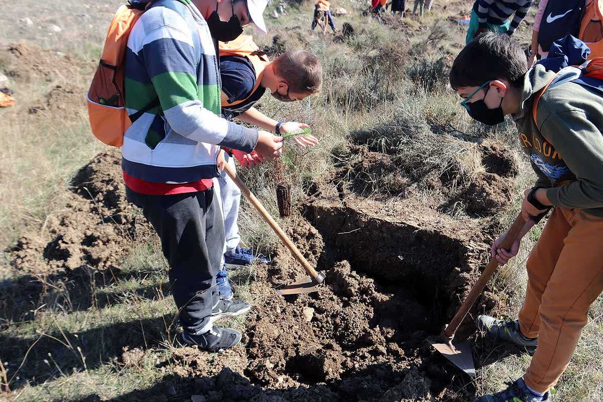 Fotos: Los niños burgaleses aprenden a respetar a unos vecinos fundamentales, los árboles