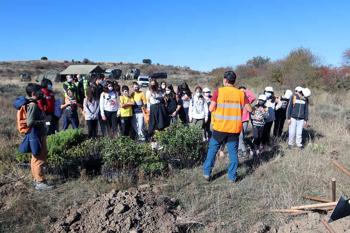 Fotos: Los niños burgaleses aprenden a respetar a unos vecinos fundamentales, los árboles