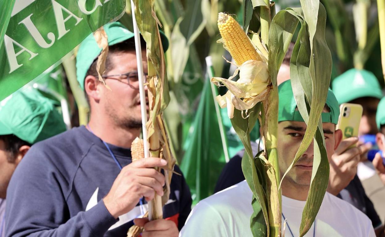 Agricultores de León y Salamanca se concentran a las puertas del Ministerio. 