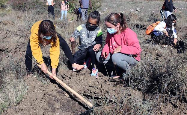 Los niños se han implicado sin reticencias a la plantación. 