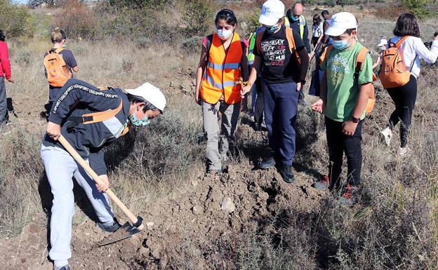 Galería. Los alumnos de Ibeas de Juarros colaboran en la plantación de más de 30.000 árboles. 