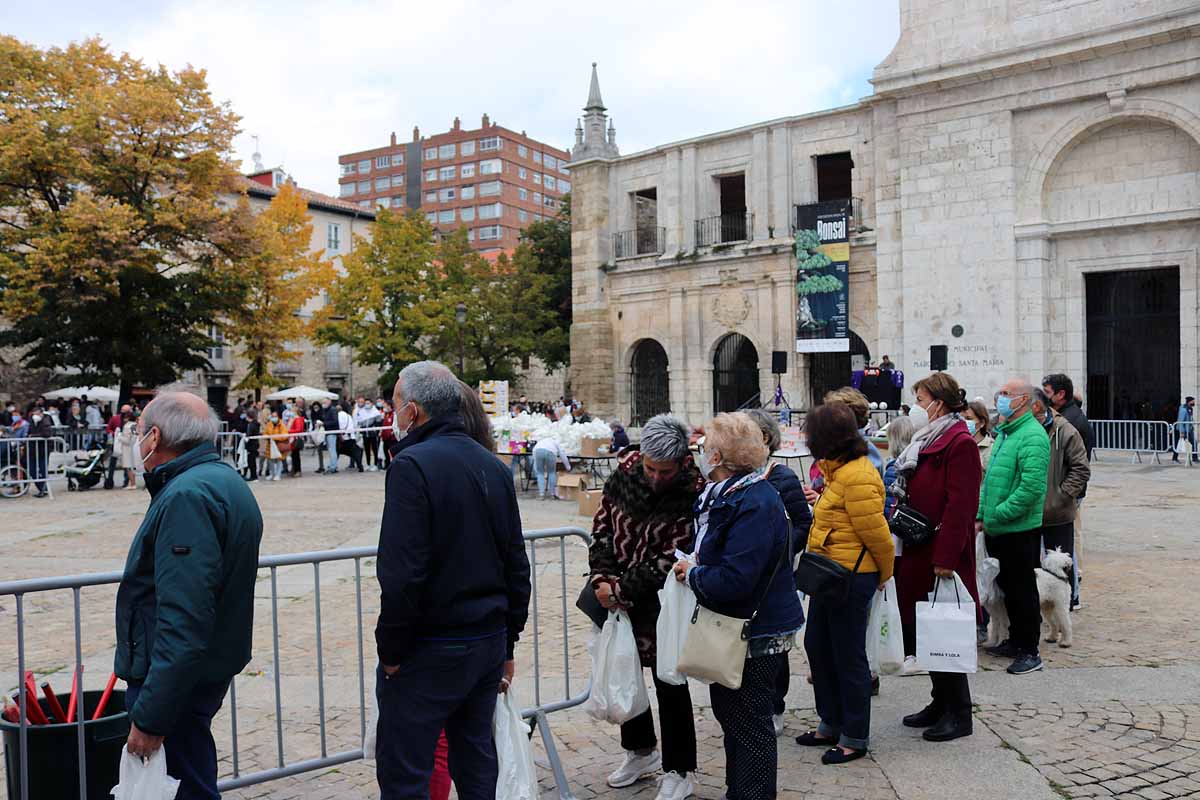 Fotos: 350 kilos de arroz para enviar desde Burgos más de 20.000 euros a La Palma